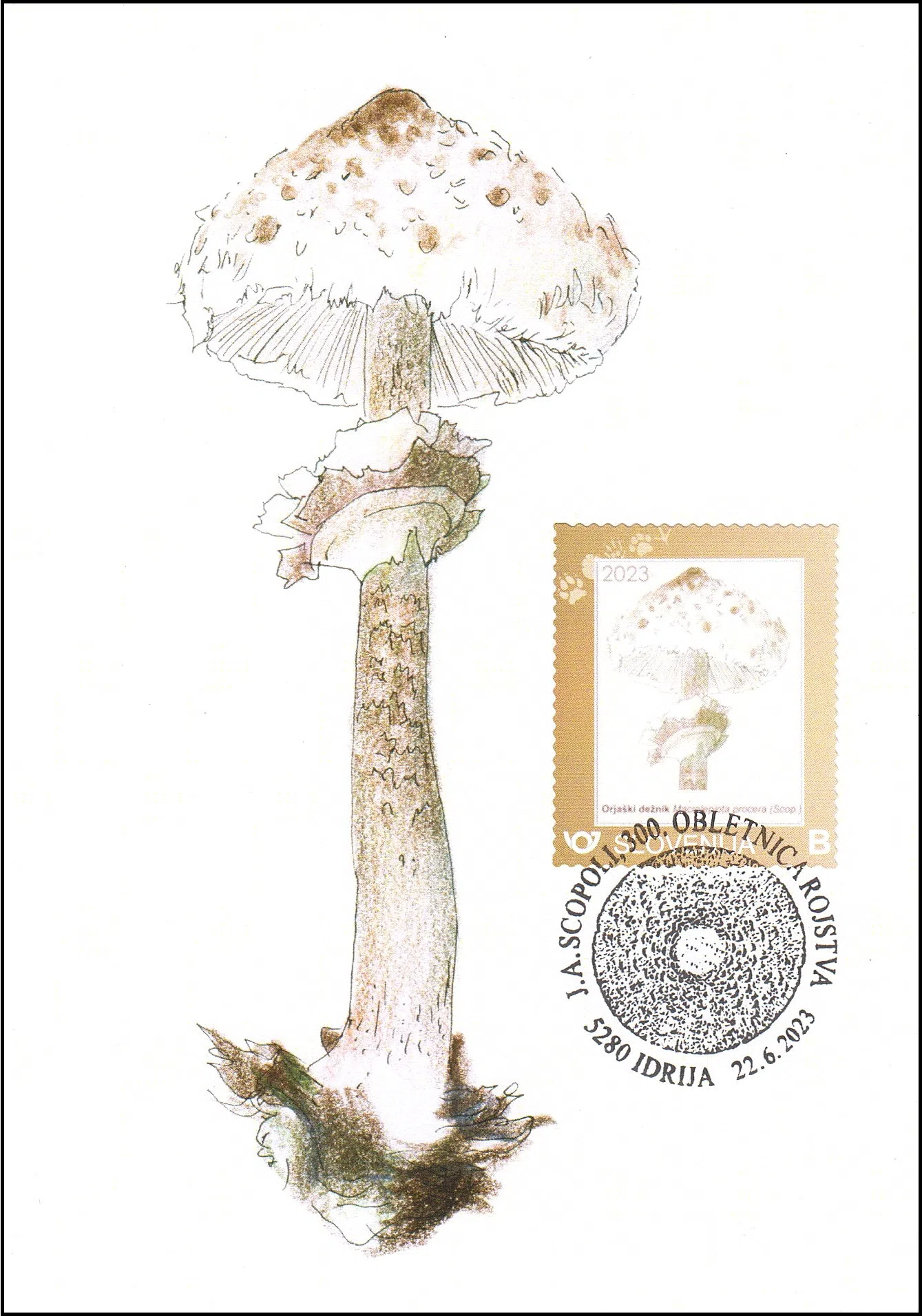 300. OBLETNICA ROJSTVA J. A. SCOPOLI